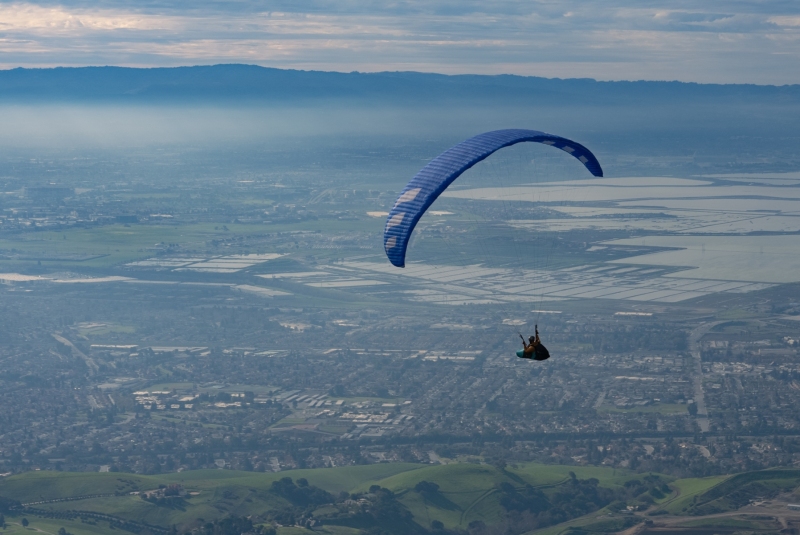 Dave Flying