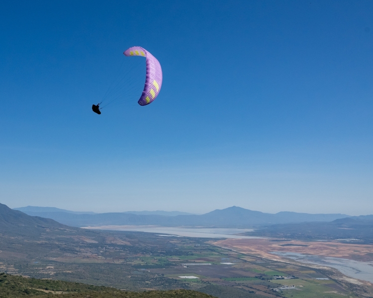 Jesse Flying