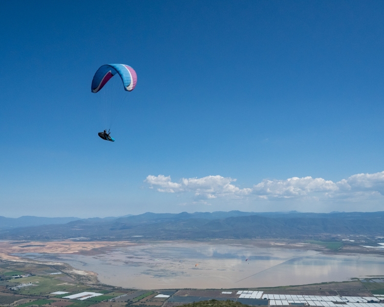 Julie Flying